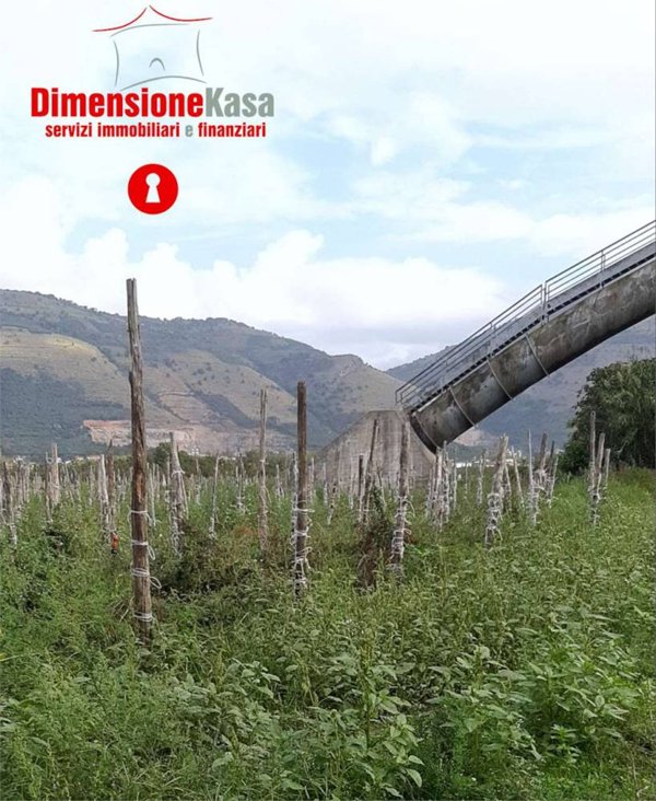 terreno agricolo in vendita ad Acerra in zona Pezzalunga