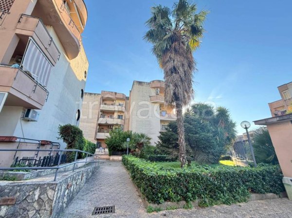 appartamento in vendita ad Acerra