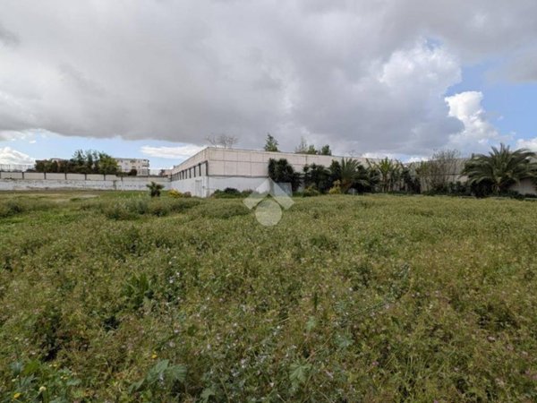 terreno agricolo in vendita ad Afragola