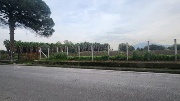 immagine annuncio 0 di 3