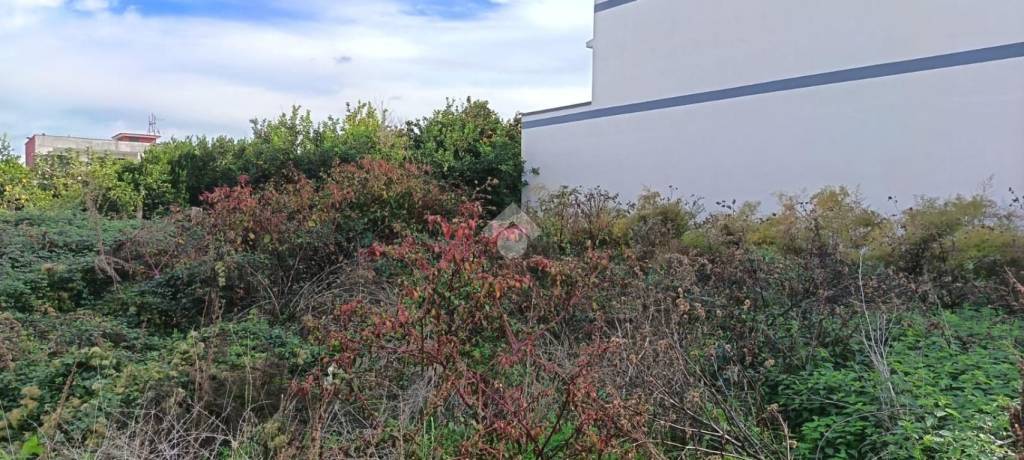 casa indipendente in vendita ad Afragola in zona Centro Città