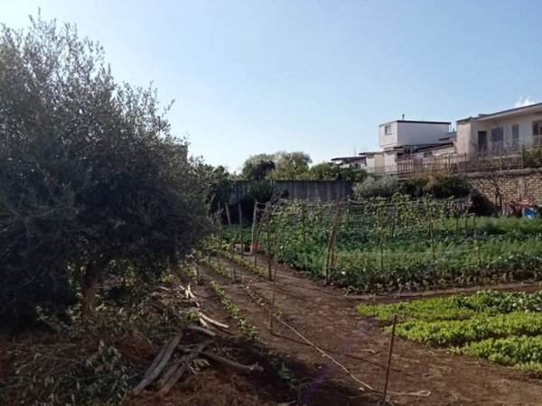 terreno agricolo in vendita ad Afragola in zona Saggese