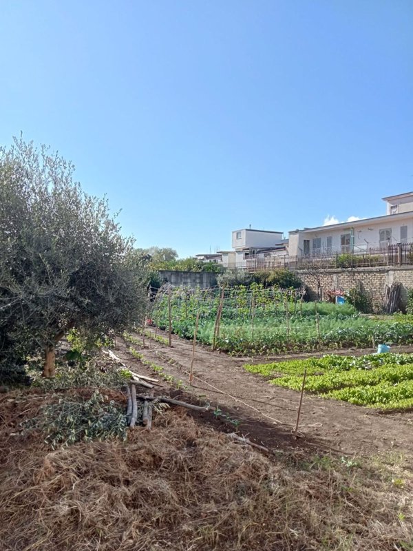 terreno edificabile in vendita ad Afragola in zona Saggese