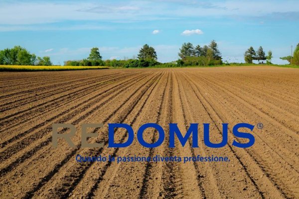 terreno agricolo in vendita ad Afragola in zona Centro Città