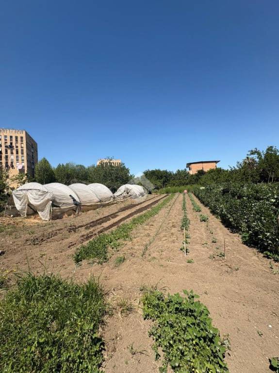 terreno agricolo in vendita ad Afragola