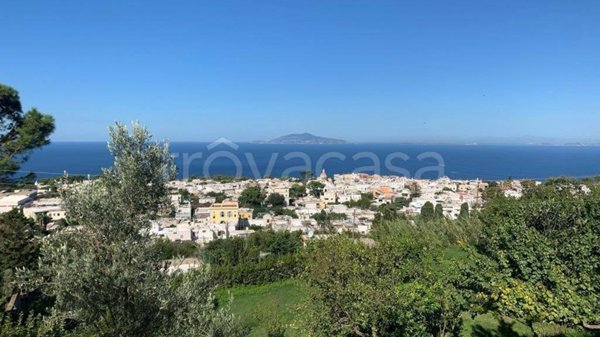 terreno agricolo in vendita ad Anacapri