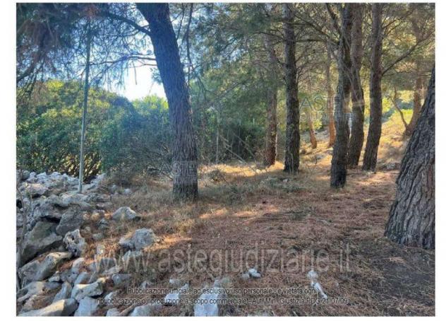 terreno agricolo in vendita ad Anacapri