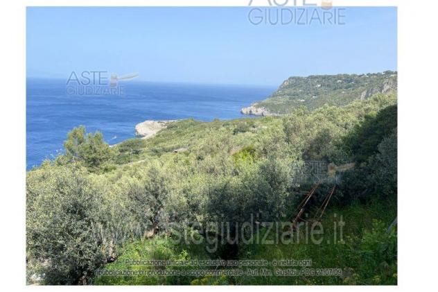 terreno agricolo in vendita ad Anacapri