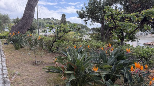 casa indipendente in vendita ad Anacapri