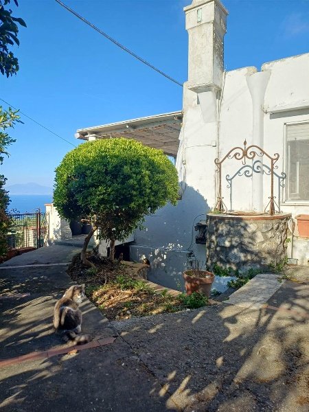 appartamento in vendita ad Anacapri