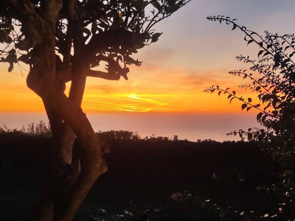 casa indipendente in vendita ad Anacapri