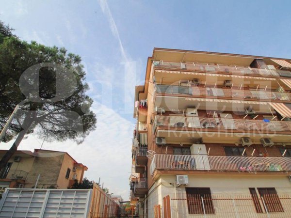 casa semindipendente in vendita ad Arzano