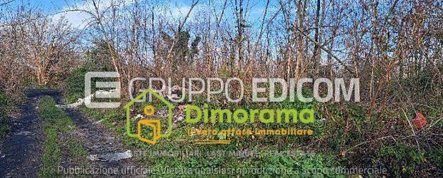 terreno agricolo in vendita ad Arzano