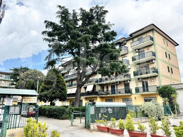 appartamento in vendita ad Arzano