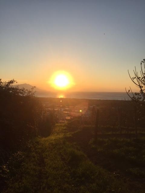 negozio in vendita a Bacoli in zona Scalandrone