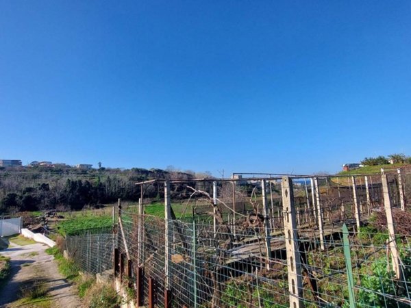 terreno agricolo in vendita a Bacoli