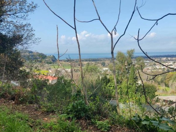 terreno agricolo in vendita a Bacoli in zona Fusaro
