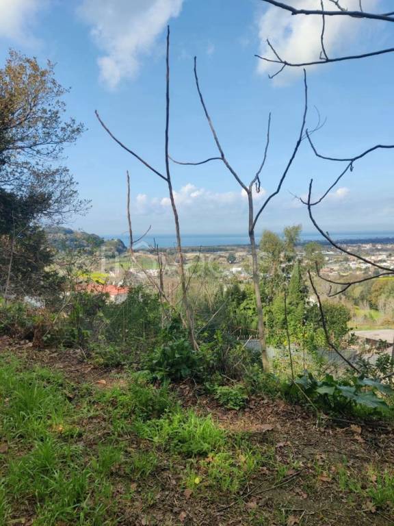 terreno agricolo in vendita a Bacoli in zona Fusaro