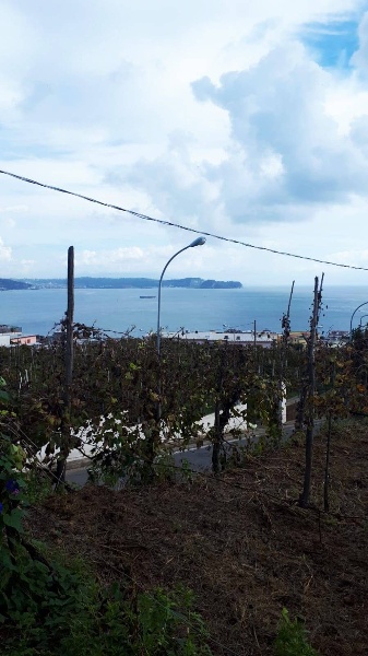 appartamento in vendita a Bacoli