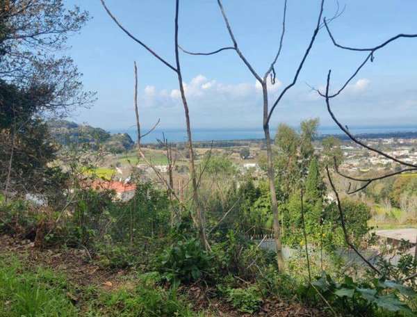terreno agricolo in vendita a Bacoli in zona Fusaro