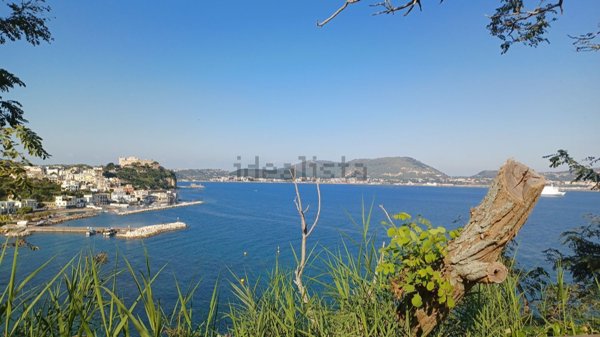 terreno agricolo in vendita a Bacoli