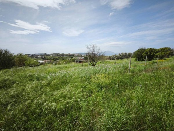 terreno agricolo in vendita a Bacoli in zona Scalandrone