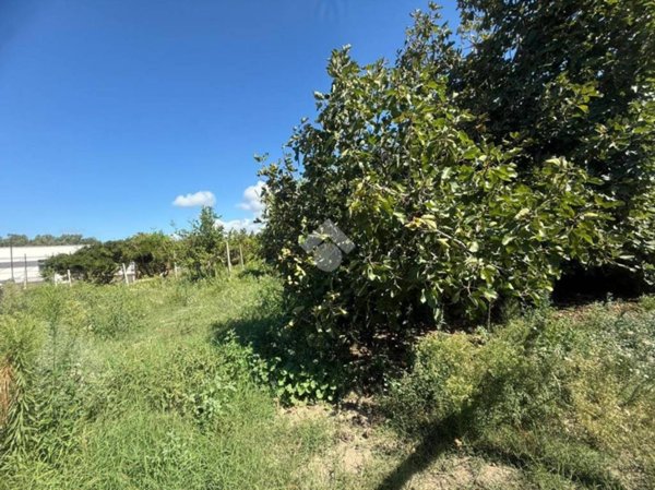 terreno agricolo in vendita a Bacoli in zona Fusaro