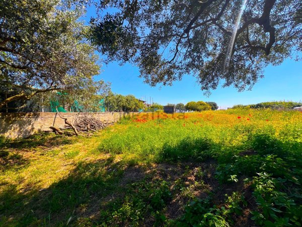 terreno agricolo in vendita a Bacoli in zona Scalandrone