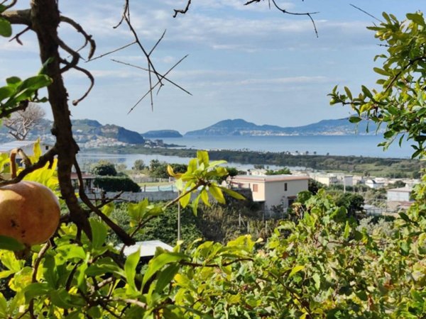 terreno agricolo in vendita a Bacoli in zona Fusaro
