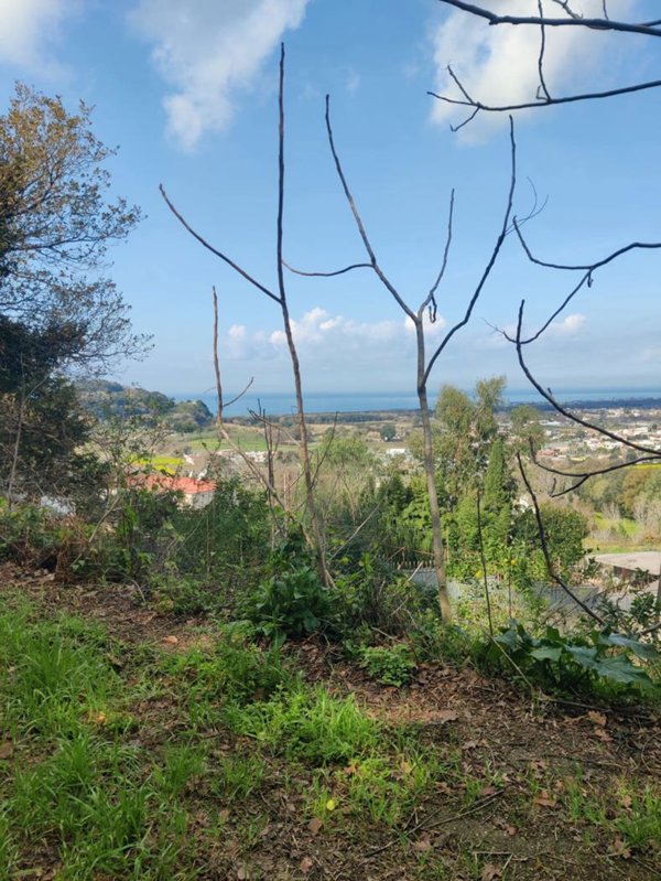 terreno agricolo in vendita a Bacoli in zona Fusaro