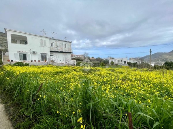 appartamento in vendita a Barano d'Ischia