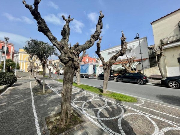 appartamento in vendita a Barano d'Ischia