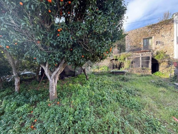 casa indipendente in vendita a Barano d'Ischia