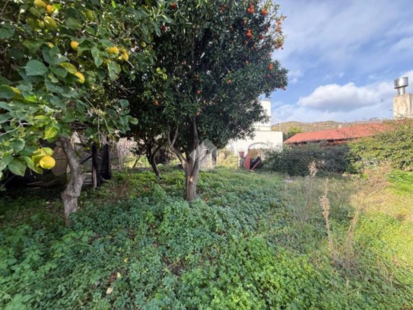 casa indipendente in vendita a Barano d'Ischia