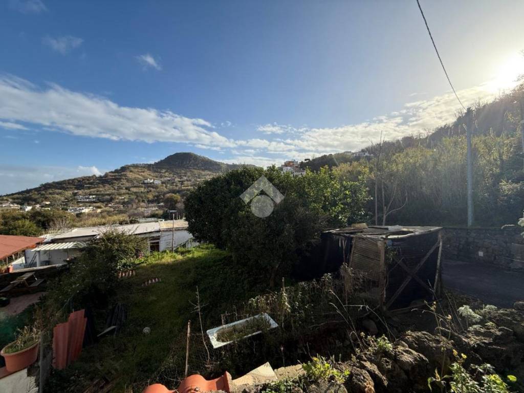 casa indipendente in vendita a Barano d'Ischia