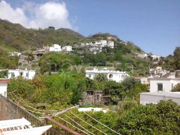 casa indipendente in vendita a Barano d'Ischia