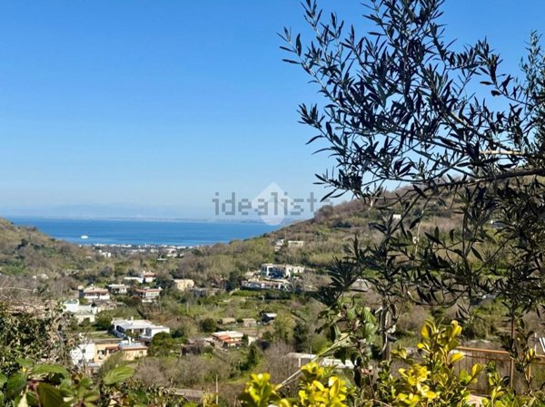 appartamento in vendita a Barano d'Ischia
