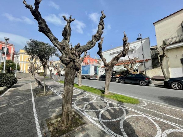 appartamento in vendita a Barano d'Ischia
