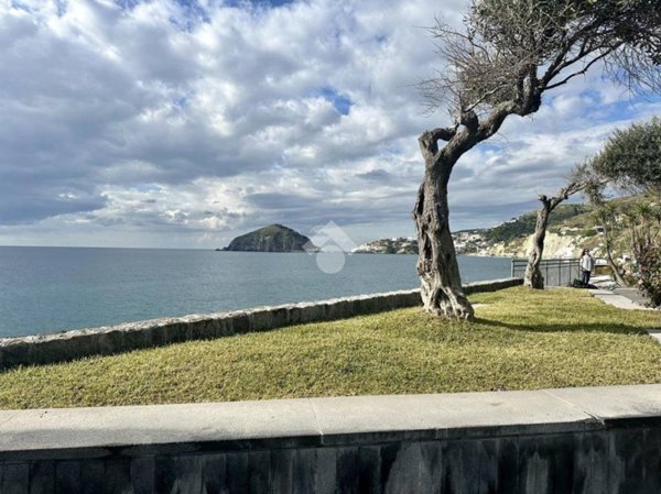 casa indipendente in vendita a Barano d'Ischia
