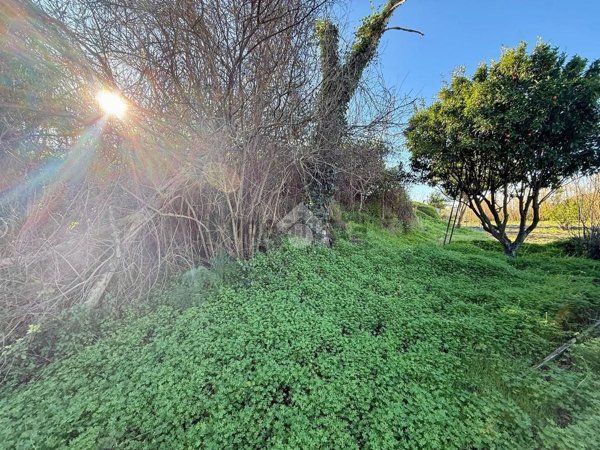 casa indipendente in vendita a Barano d'Ischia