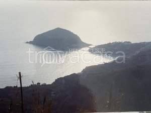terreno agricolo in vendita a Barano d'Ischia