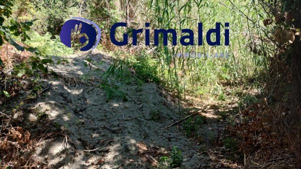 terreno agricolo in vendita a Barano d'Ischia