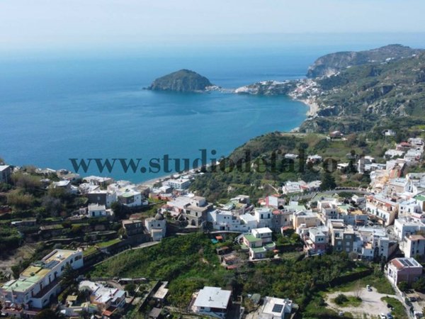 appartamento in vendita a Barano d'Ischia