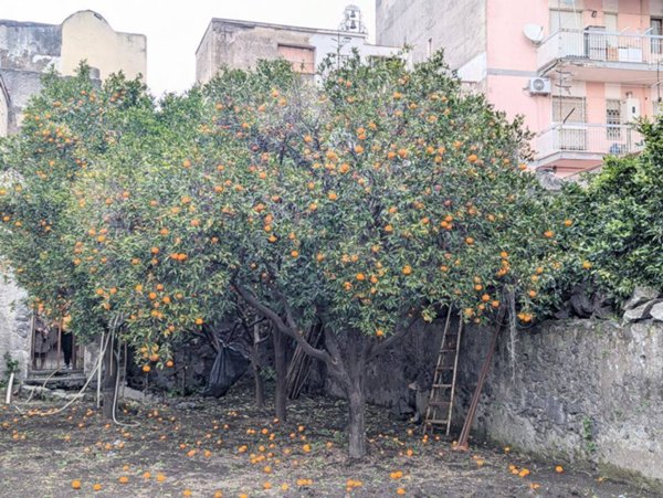 casa indipendente in vendita a Boscoreale