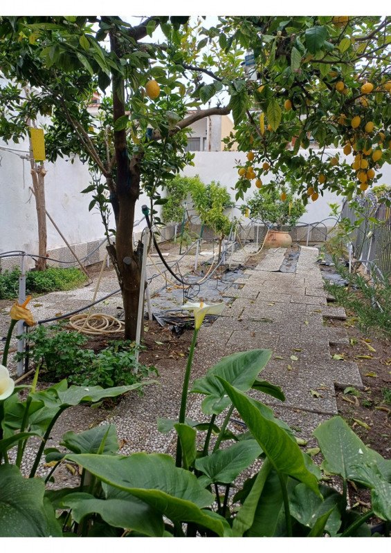 appartamento in vendita a Boscoreale