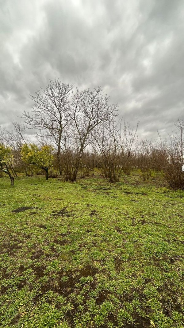 appartamento in vendita a Boscoreale