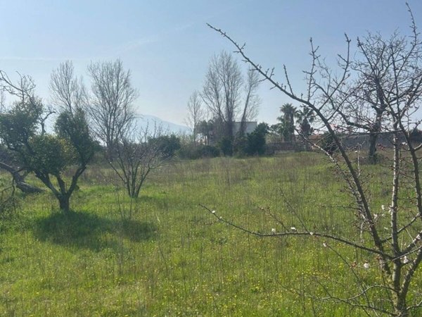 terreno agricolo in vendita a Boscoreale in zona Passanti