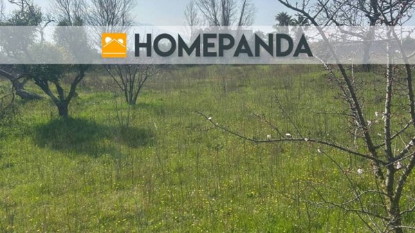 casa semindipendente in vendita a Boscoreale in zona Passanti