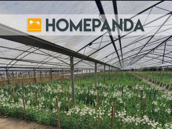 terreno agricolo in vendita a Boscoreale