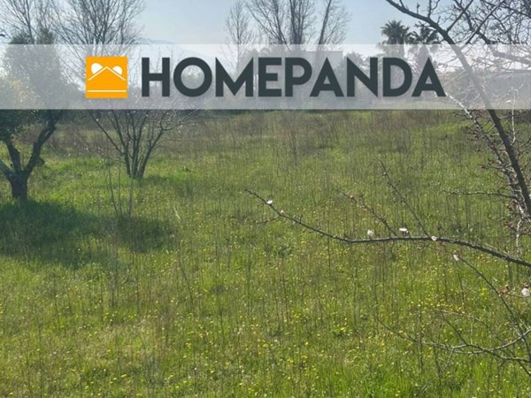 terreno agricolo in vendita a Boscoreale in zona Passanti